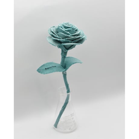 Fragment Rose - Aqua Green - ｜ Remake by VERS