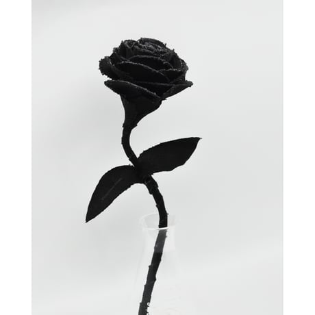 Fragment Rose - Morion Black - ｜ Remake by VERS