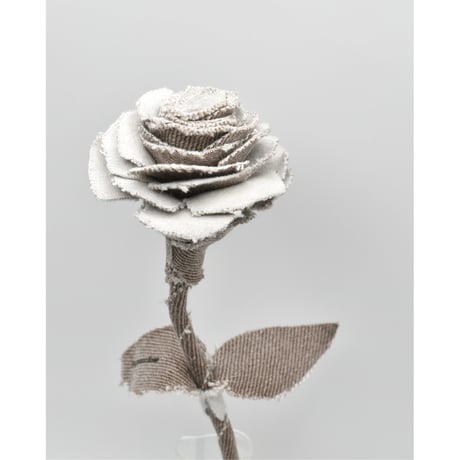 Fragment Rose - Café au Lait -｜ Remake by VERS