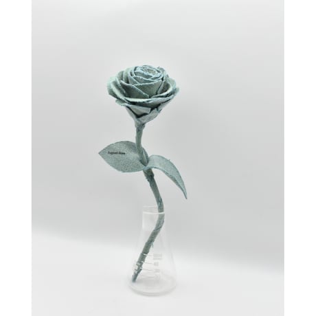 Fragment Rose - Pale Mint - ｜ Remake by VERS