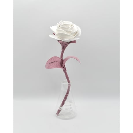 Fragment Rose - White Mauve - ｜ Remake by VERS