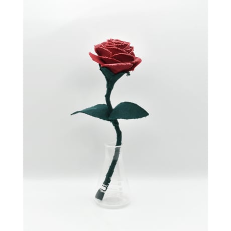 Fragment Rose - Ruby Red - ｜ Remake by VERS