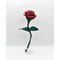 Fragment Rose - Ruby Red - ｜ Remake by VERS