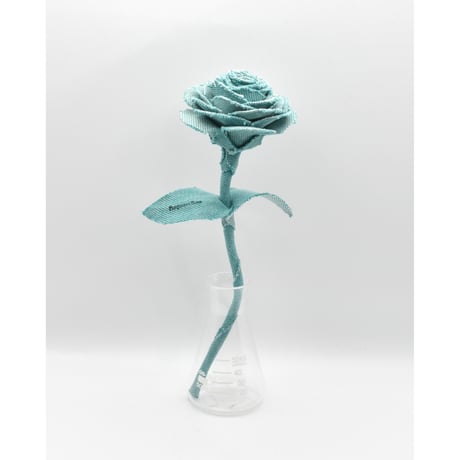 Fragment Rose - Aqua Green - ｜ Remake by VERS