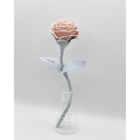 Fragment Rose - Dusty Peach - ｜ Remake by VERS