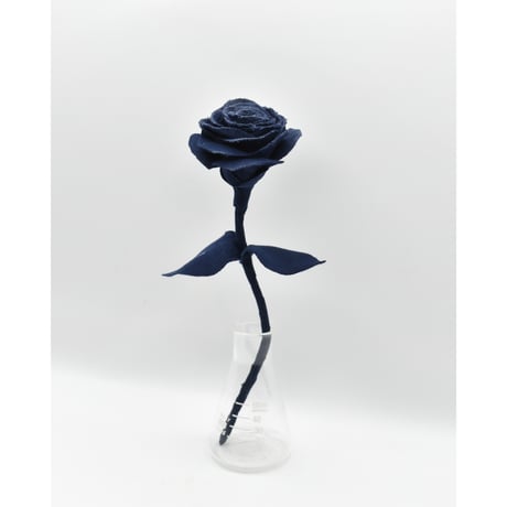 Fragment Rose - Midnight Navy - ｜ Remake by VERS