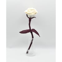 Fragment Rose - Antique Ivory -｜ Remake by VERS