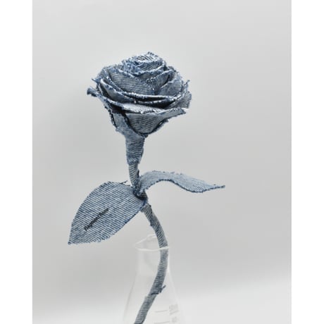 Fragment Rose - Acid Blue - ｜ Remake by VERS