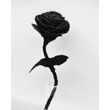 Fragment Rose - Morion Black - ｜ Remake by VERS