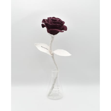 Fragment Rose - Garnet - ｜ Remake by VERS