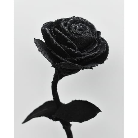 Fragment Rose - Morion Black - ｜ Remake by VERS