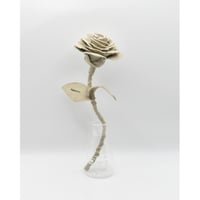 Fragment Rose - Natural Ivory -｜ Remake by VERS
