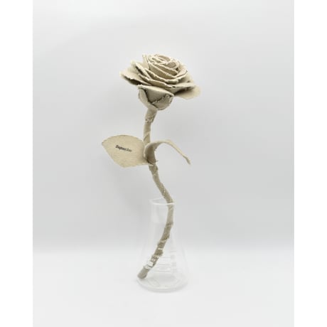 Fragment Rose - Natural Ivory -｜ Remake by VERS