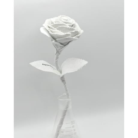 Fragment Rose - Ice White - ｜ Remake by VERS