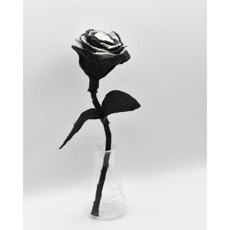 Fragment Rose - Black Swan - ｜ Remake by VERS