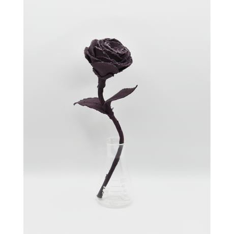 Fragment Rose - Blackberry - ｜ Remake by VERS