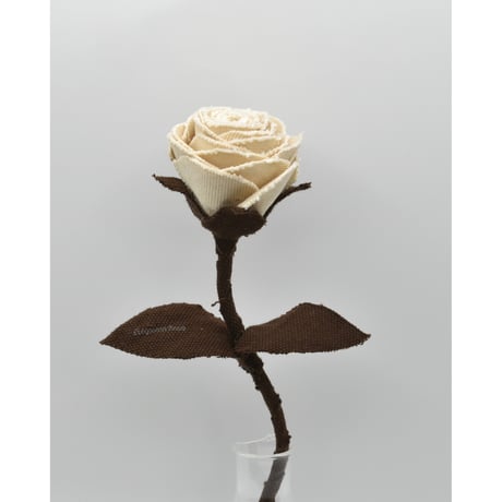 Fragment Rose - Ivory Mocha - ｜ Remake by VERS