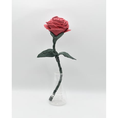 Fragment Rose - Vintage Coral - ｜ Remake by VERS