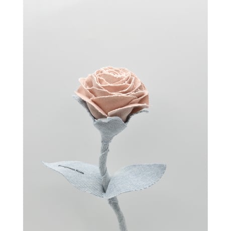 Fragment Rose - Dusty Peach - ｜ Remake by VERS