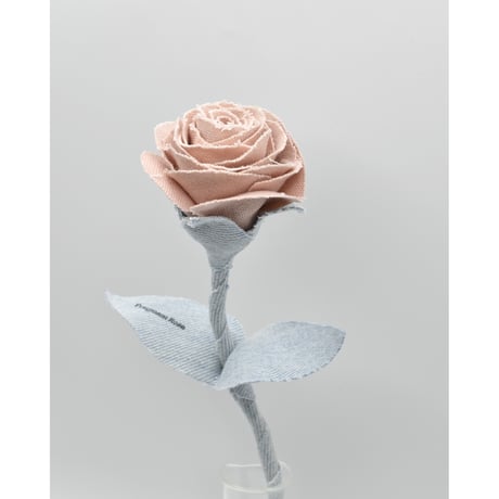 Fragment Rose - Dusty Peach - ｜ Remake by VERS