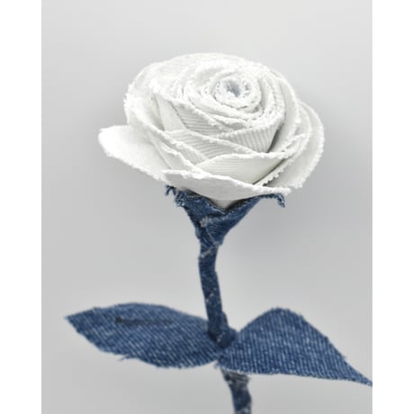 Fragment Rose - Glacier Indigo - ｜ Remake by VERS