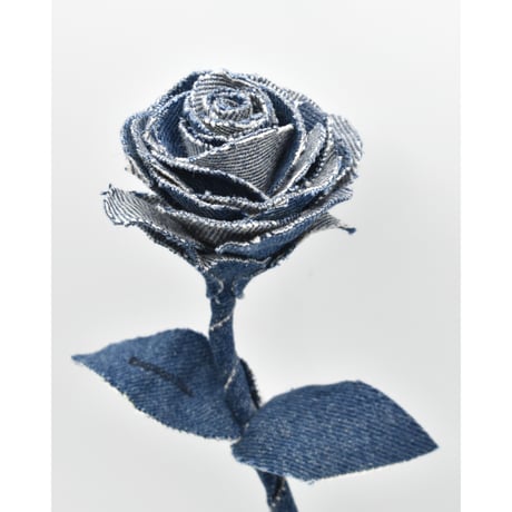 Fragment Rose - Indigo Contrast -｜ Remake by VERS