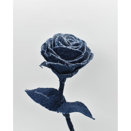 Fragment Rose - Deep Indigo -｜ Remake by VERS