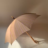 Tabrik / Parasol