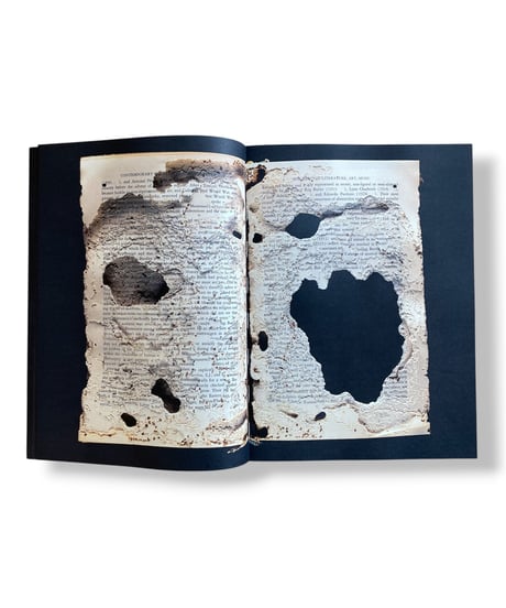 Liss Fenwick "THE COLONY"