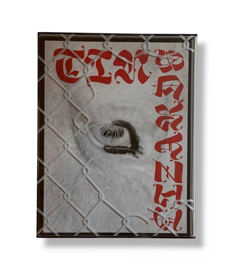 Robert Leblanc "TIN LIZARDS"