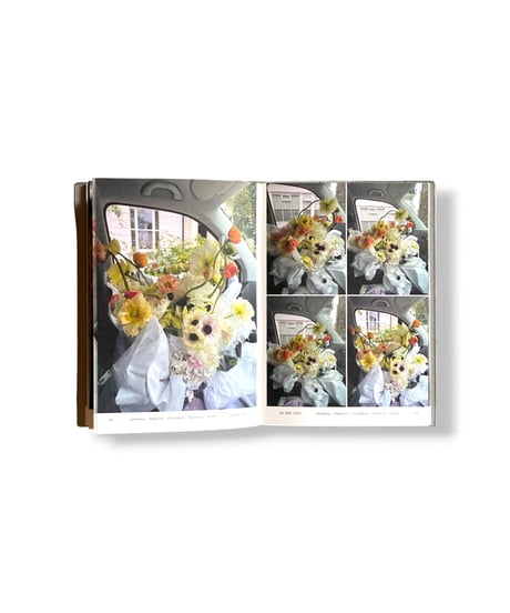 Simone Gooch "FLOWERS IN THE FRONT SEAT"