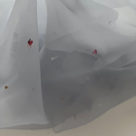 bloom_gray