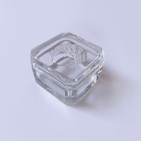 Vintage glass case