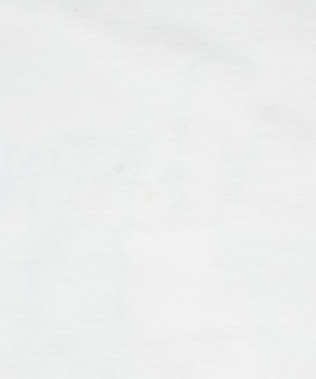 17AW Supreme "Nasty Nas" L