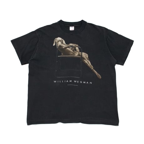 williamwegman | STORES