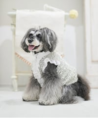 リボンネップフリルシャツ　ミストグレー