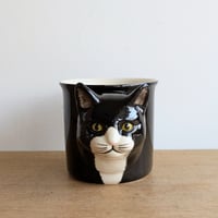 ハチワレ猫のカップ