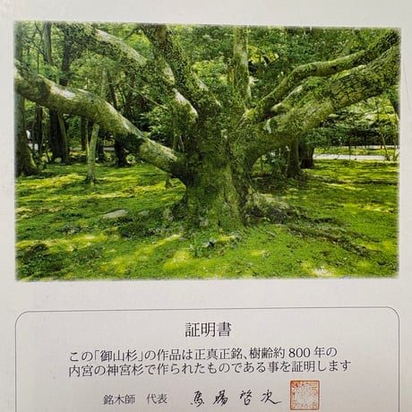 【貴重】神宮御山杉　8ミリブレスレット