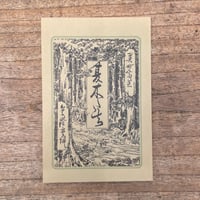 山田美妙『夏木立』（新撰　名著復刻全集　近代文学館）