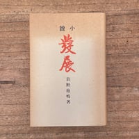 岩野泡鳴『発展』（特選　名著復刻全集　近代文学館）