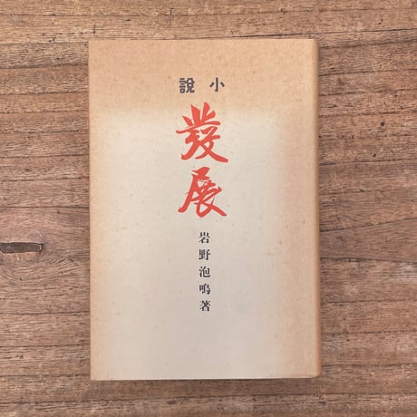 岩野泡鳴『発展』（特選　名著復刻全集　近代文学館）