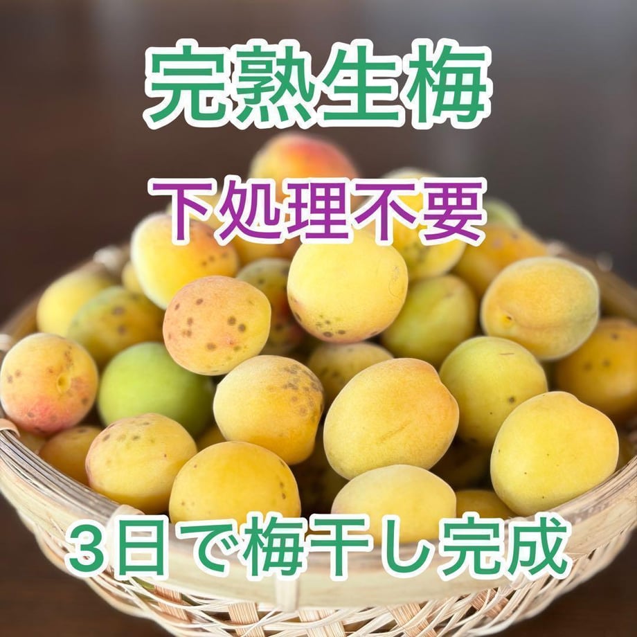 6483d9805348c50030f7c663