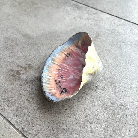 "my treasure_the seashell found in a dream"jewelry tray B