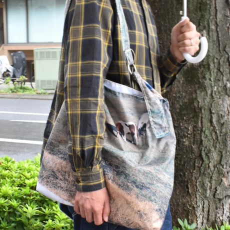 shoulder bag