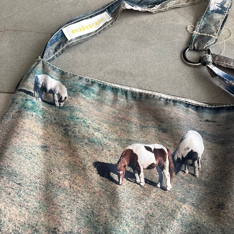 shoulder bag