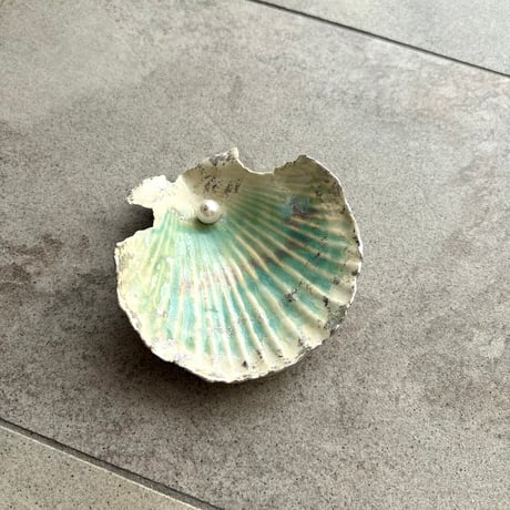 "my treasure_the seashell found in a dream"jewelry tray A