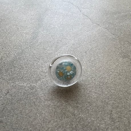 snowdome ring 小