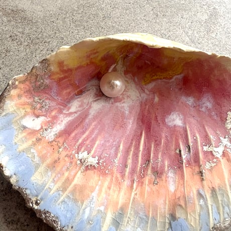 "my treasure_the seashell found in a dream"jewelry tray B