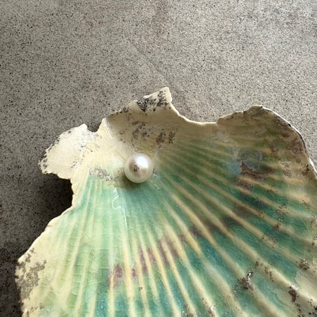 "my treasure_the seashell found in a dream"jewelry tray A