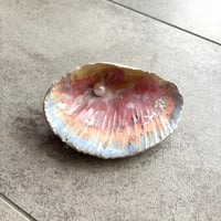"my treasure_the seashell found in a dream"jewelry tray B